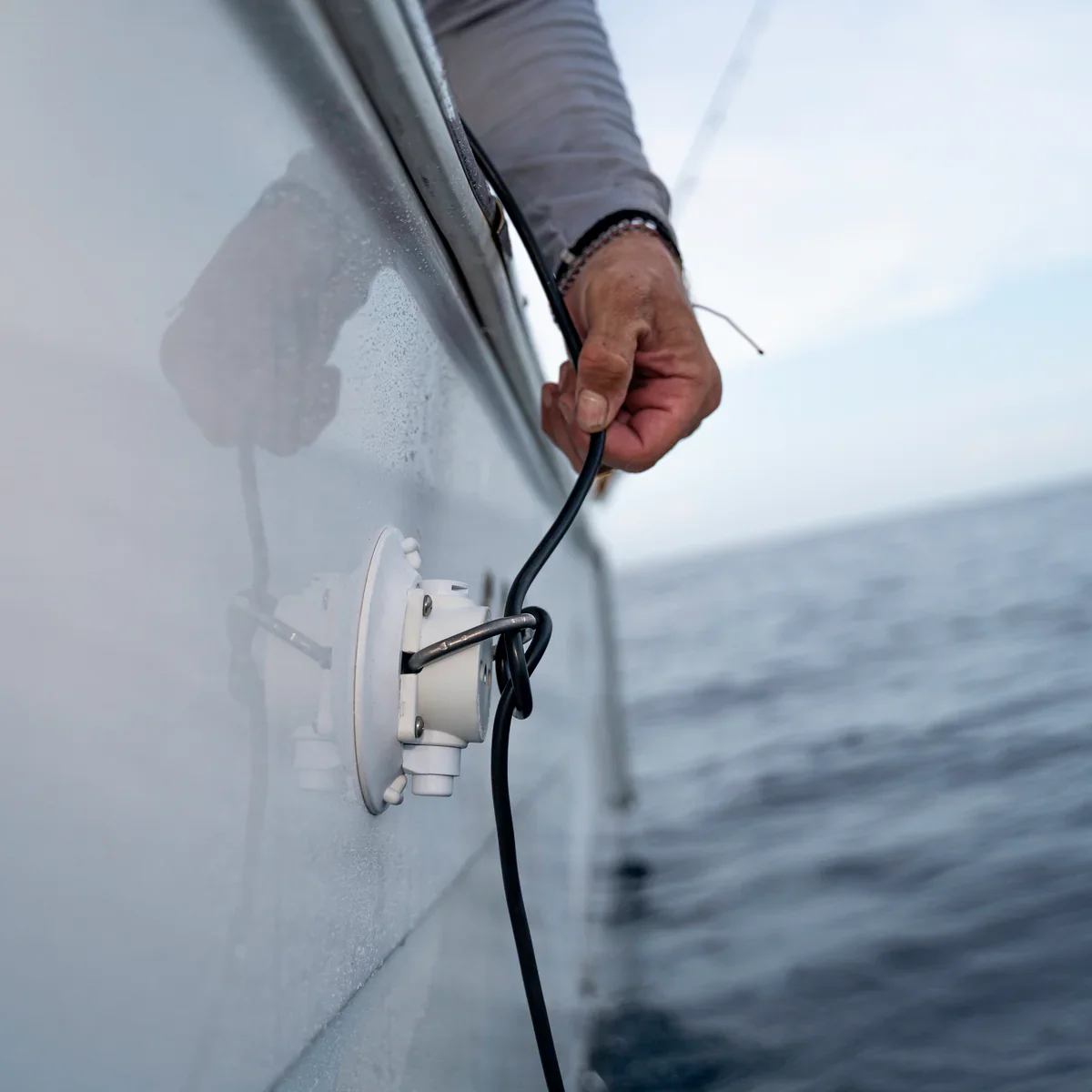 SeaSucker 4.5" Flat-Top Stainless D-Ring - White - Image 4