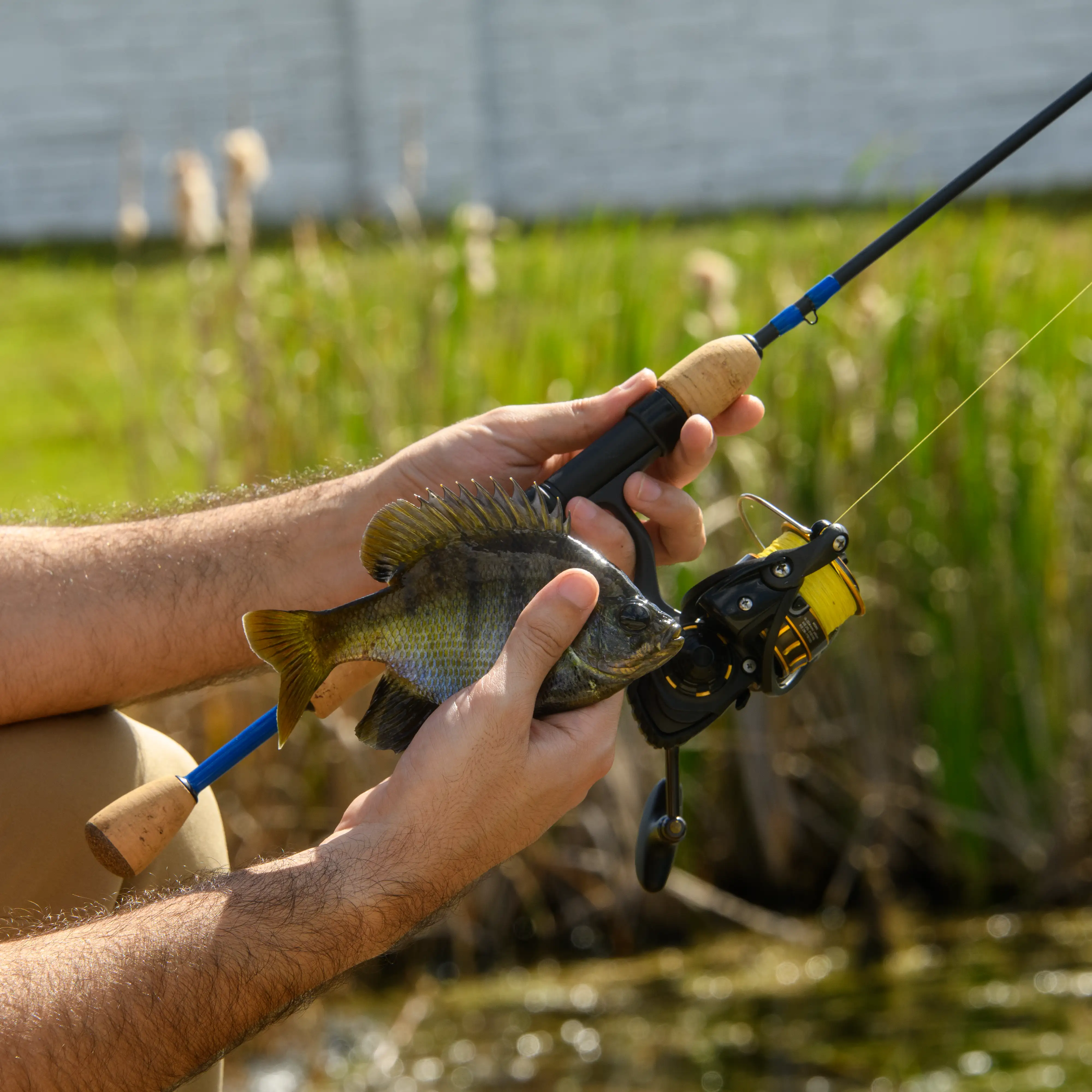Crappie, Panfish & Trout Spinning Kits - - Image 5