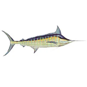 Mud Hole Game Fish Rod Decals - Image 10