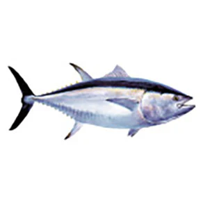 Mud Hole Game Fish Rod Decals - Image 11