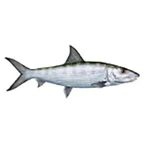 Mud Hole Game Fish Rod Decals - Image 13