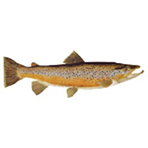 Mud Hole Game Fish Rod Decals - Image 14