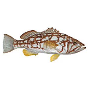 Mud Hole Game Fish Rod Decals - Image 15