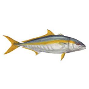 Mud Hole Game Fish Rod Decals - Image 16