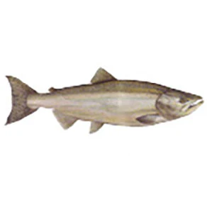 Mud Hole Game Fish Rod Decals - Image 18