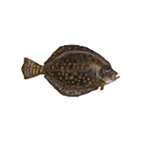 Mud Hole Game Fish Rod Decals - Image 21