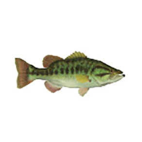 Mud Hole Game Fish Rod Decals - Image 22