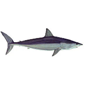 Mud Hole Game Fish Rod Decals - Image 23