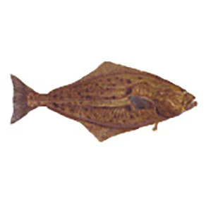 Mud Hole Game Fish Rod Decals - Image 27