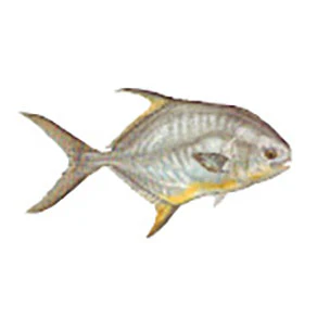 Mud Hole Game Fish Rod Decals - Image 28