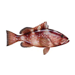 Mud Hole Game Fish Rod Decals - Image 31