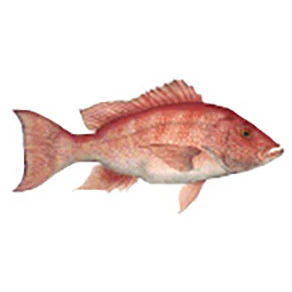 Mud Hole Game Fish Rod Decals - Image 32