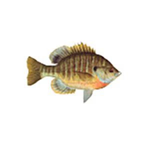 Mud Hole Game Fish Rod Decals - Image 34