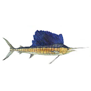 Mud Hole Game Fish Rod Decals - Image 35