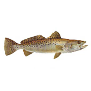 Mud Hole Game Fish Rod Decals - Image 36