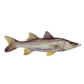 Mud Hole Game Fish Rod Decals - Image 38