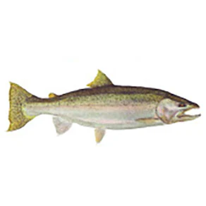 Mud Hole Game Fish Rod Decals - Image 39