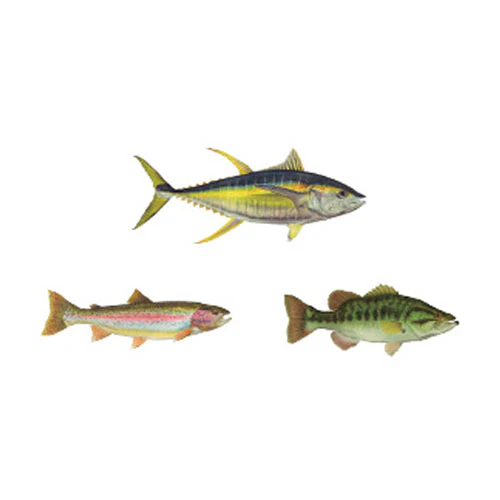 Mud Hole Game Fish Rod Decals - Image 4