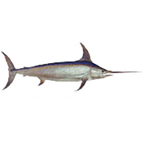 Mud Hole Game Fish Rod Decals - Image 41