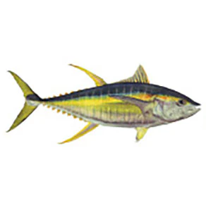 Mud Hole Game Fish Rod Decals - Image 45