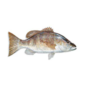 Mud Hole Game Fish Rod Decals - Image 48