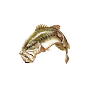 Mud Hole Game Fish Rod Decals - Image 5