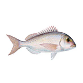 Mud Hole Game Fish Rod Decals - Image 50