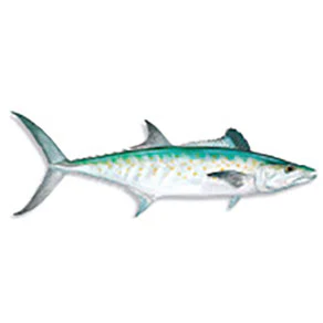 Mud Hole Game Fish Rod Decals - Image 52