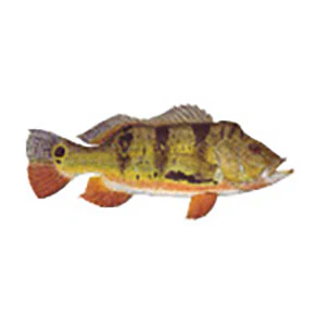 Mud Hole Game Fish Rod Decals - Image 54