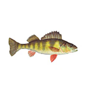 Mud Hole Game Fish Rod Decals - Image 55