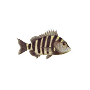 Mud Hole Game Fish Rod Decals - Image 56