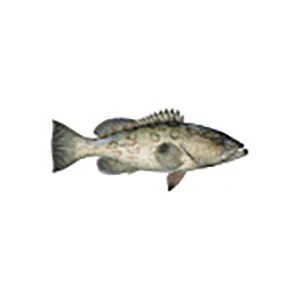 Mud Hole Game Fish Rod Decals - Image 57