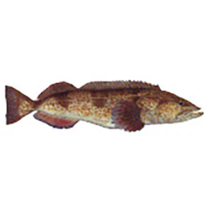 Mud Hole Game Fish Rod Decals - Image 58
