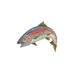 Mud Hole Game Fish Rod Decals - Image 6