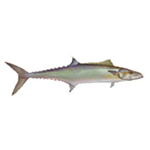 Mud Hole Game Fish Rod Decals - Image 60