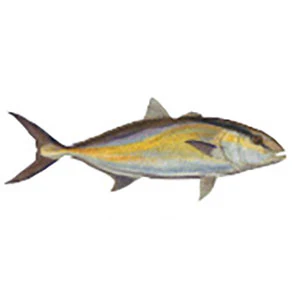 Mud Hole Game Fish Rod Decals - Image 7