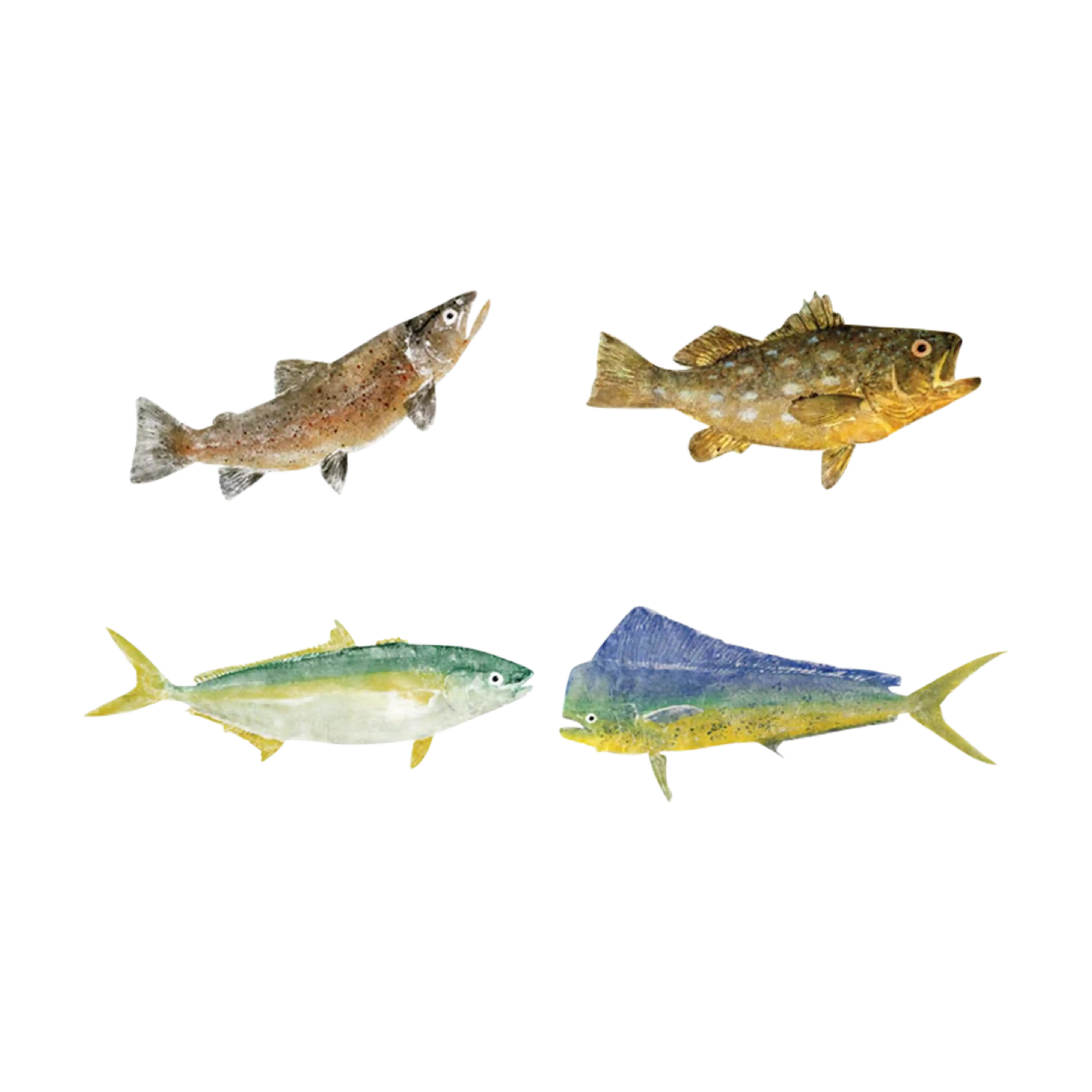 Mud Hole Japanese Gyotaku Fish Art Decals by Marshall Madruga - Image 2