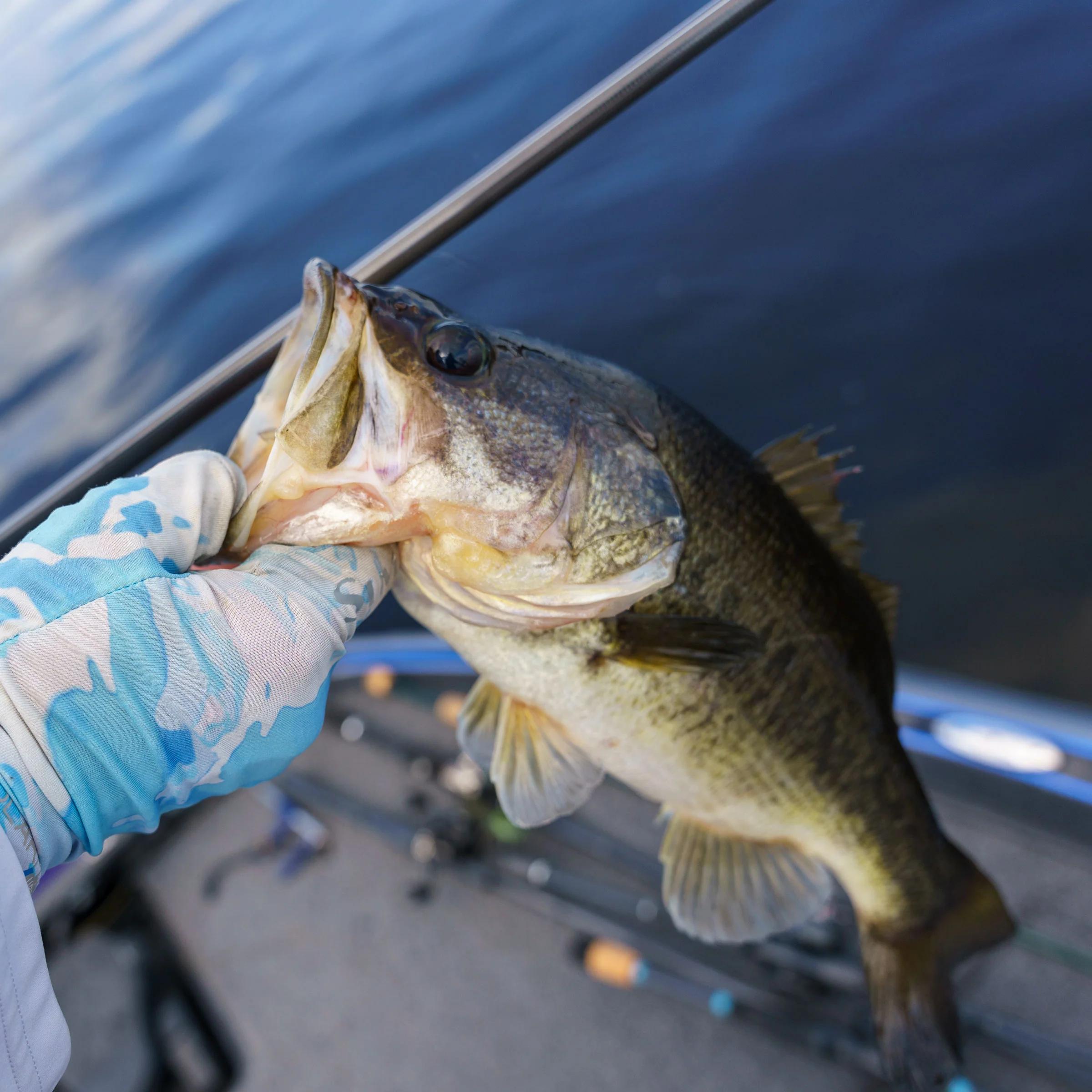 Jim Crowley 6'8" Medium Jerkbait Rod Kit - Image 3