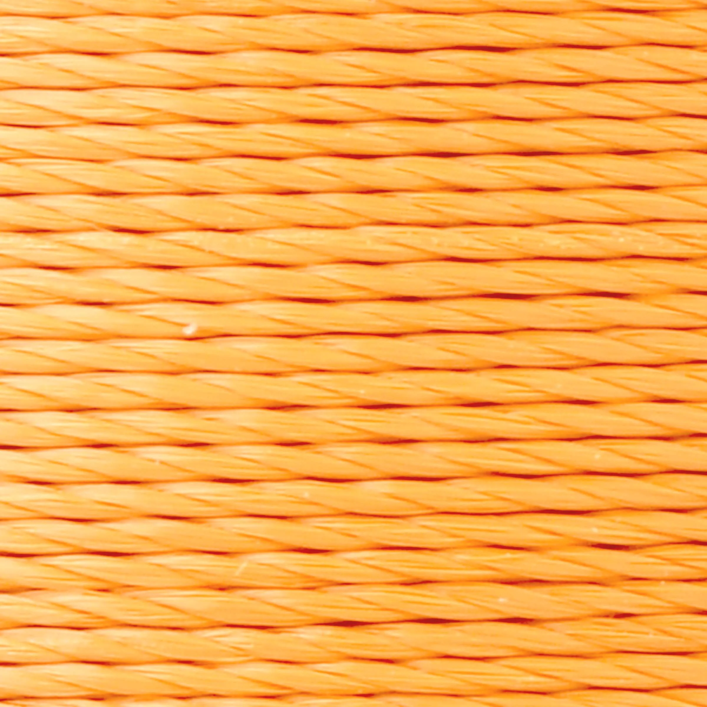 ProWrap Nylon Rod Winding Thread - Size D (100 Yds) - Image 149