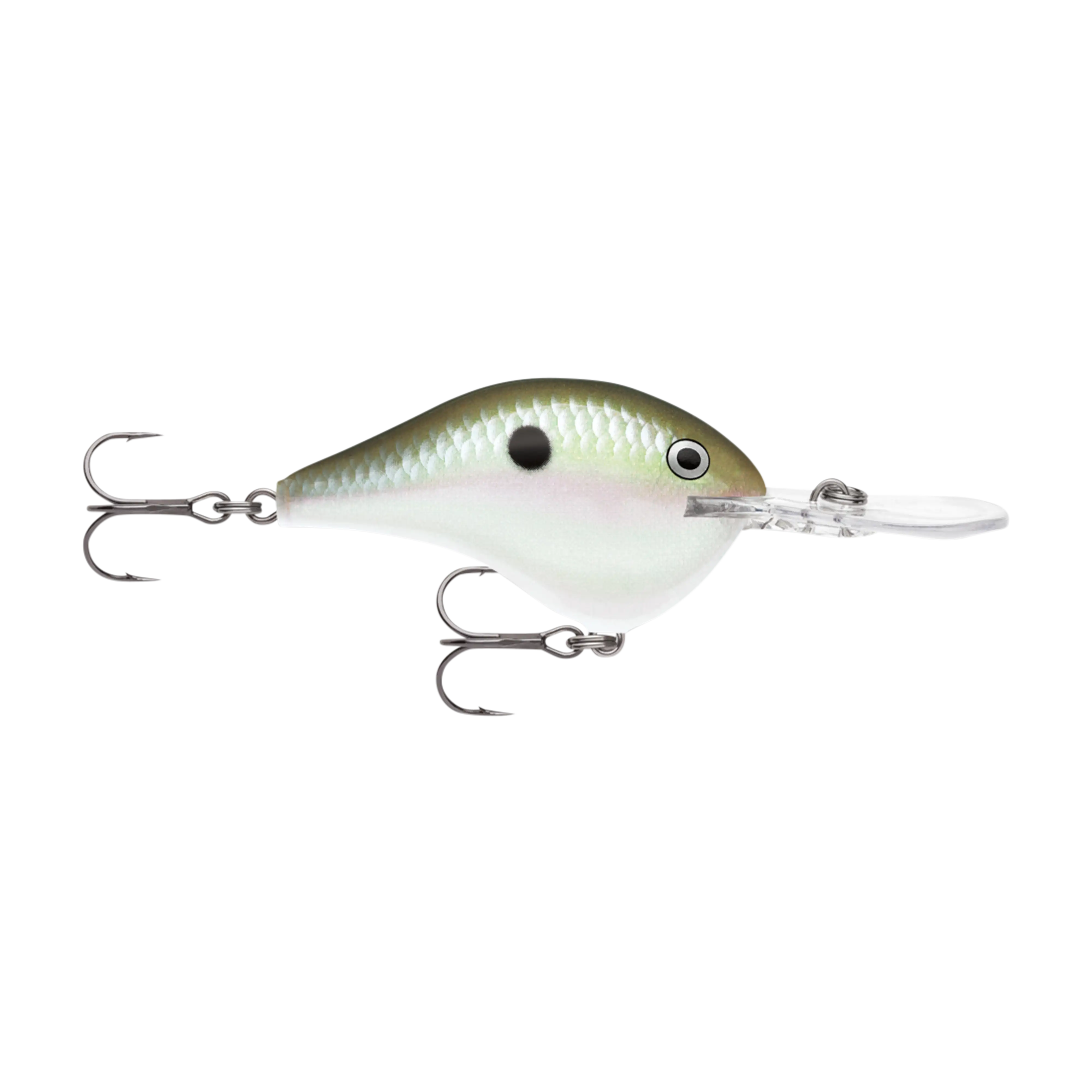Rapala DT10 Series Crankbaits - Image 10