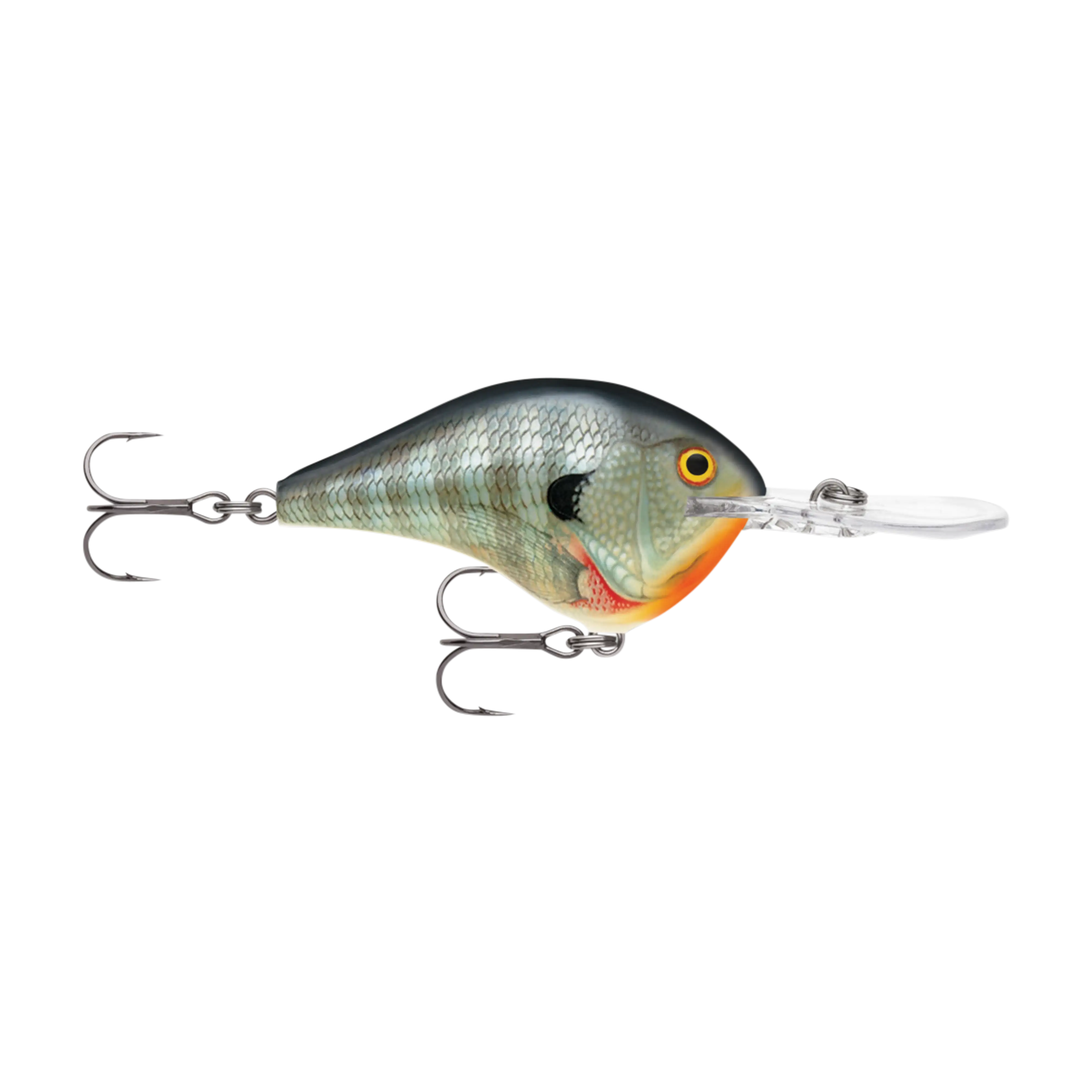Rapala DT10 Series Crankbaits - Image 5