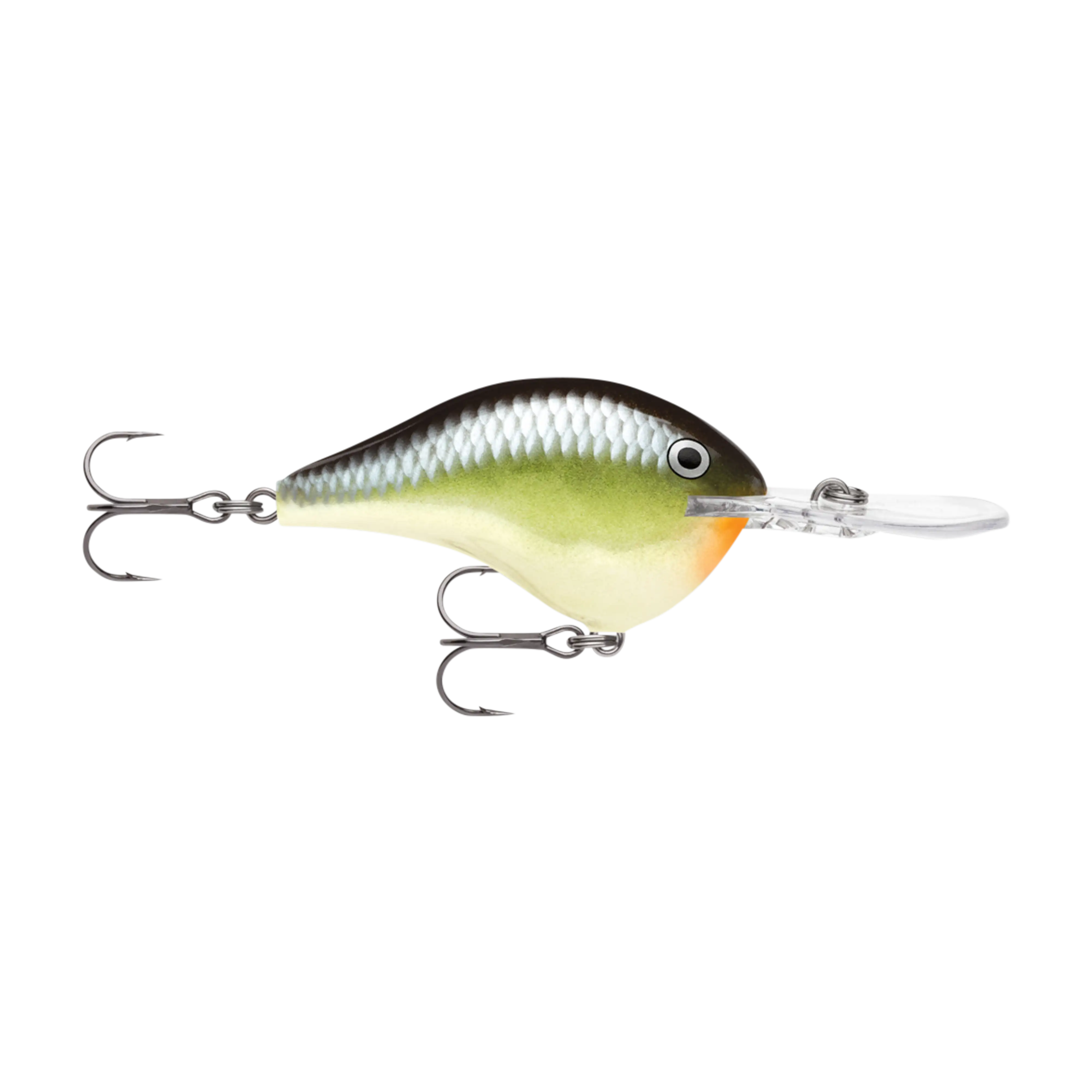 Rapala DT16 Series Crankbaits - Image 13