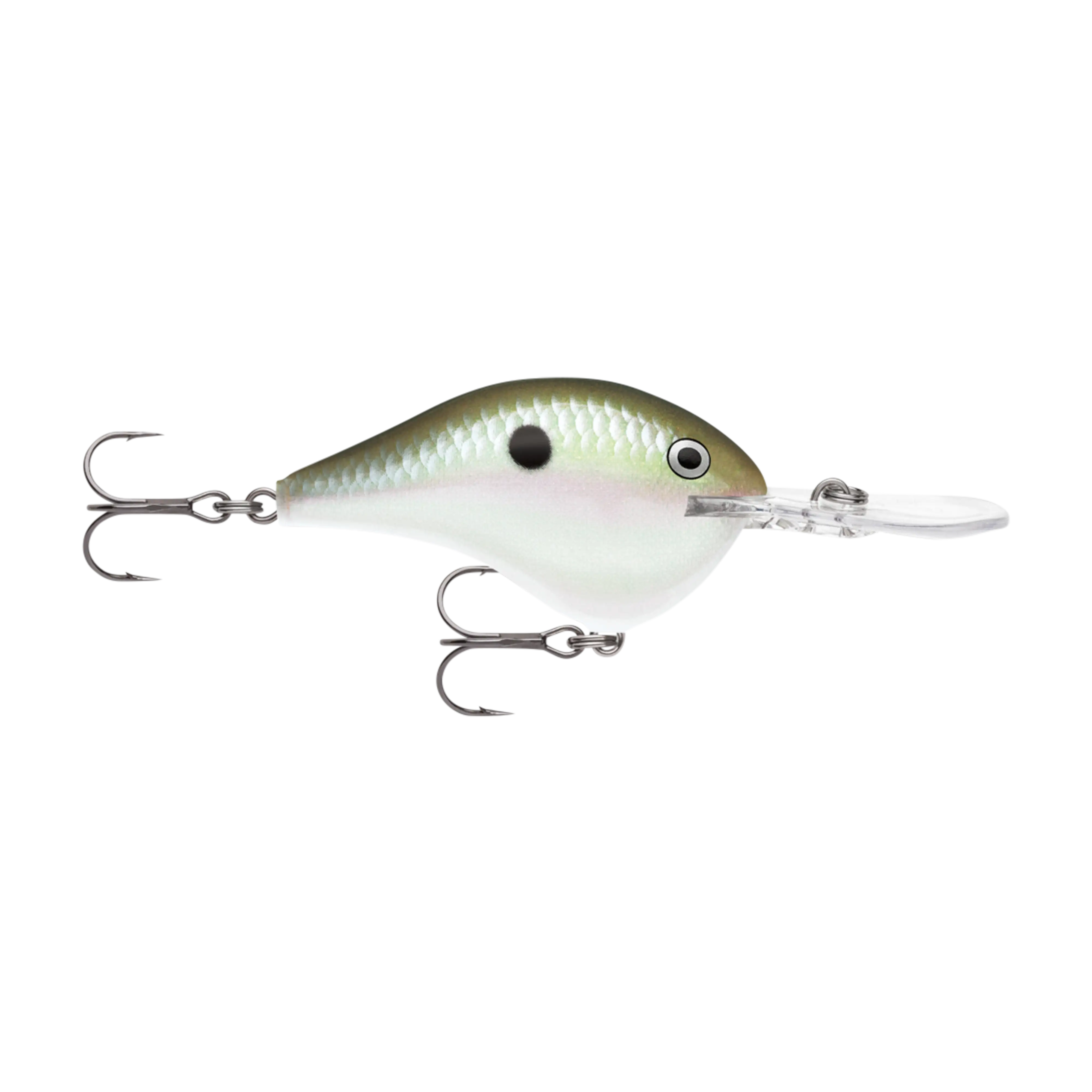 Rapala DT16 Series Crankbaits - Image 9