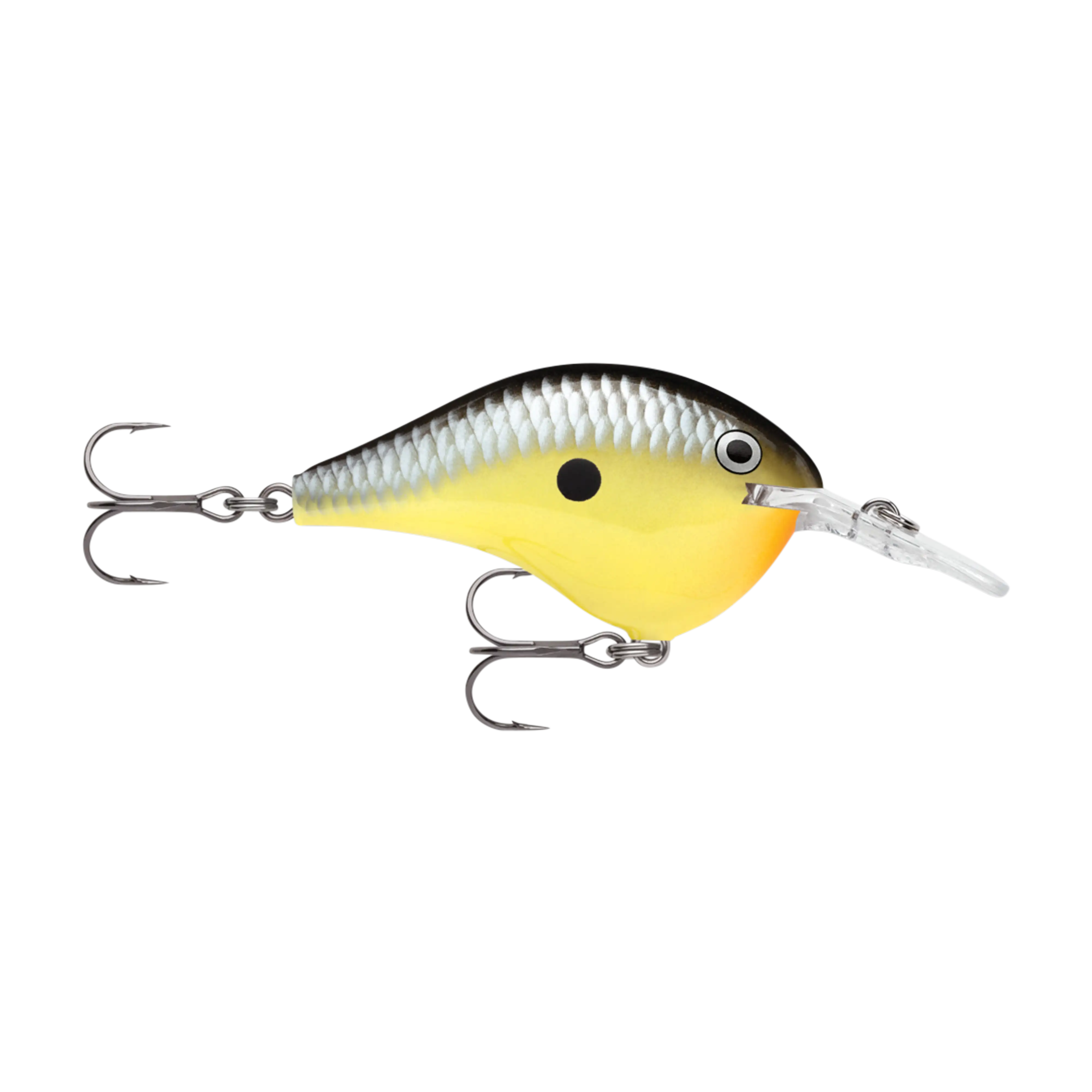Rapala DT6 Series Crankbaits - Image 11