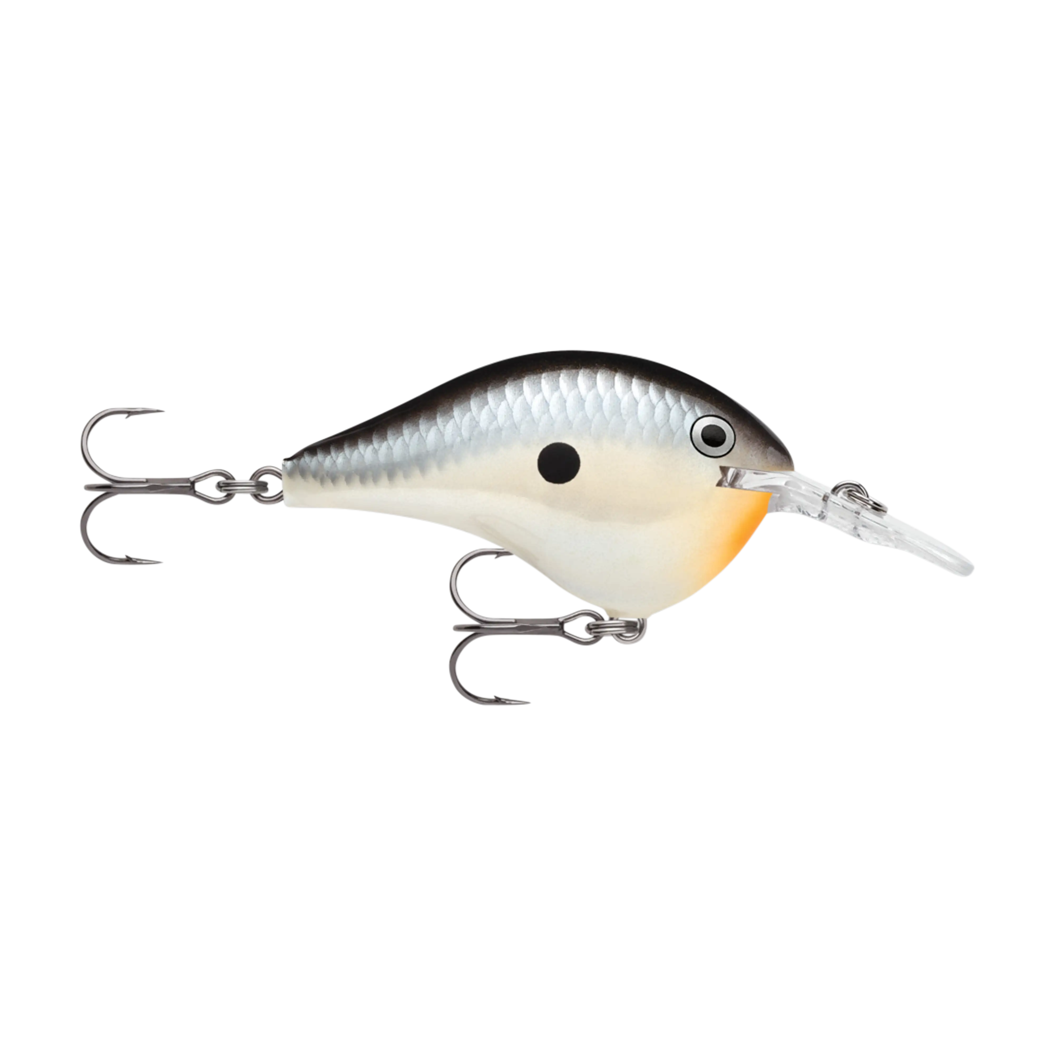 Rapala DT6 Series Crankbaits - Image 12