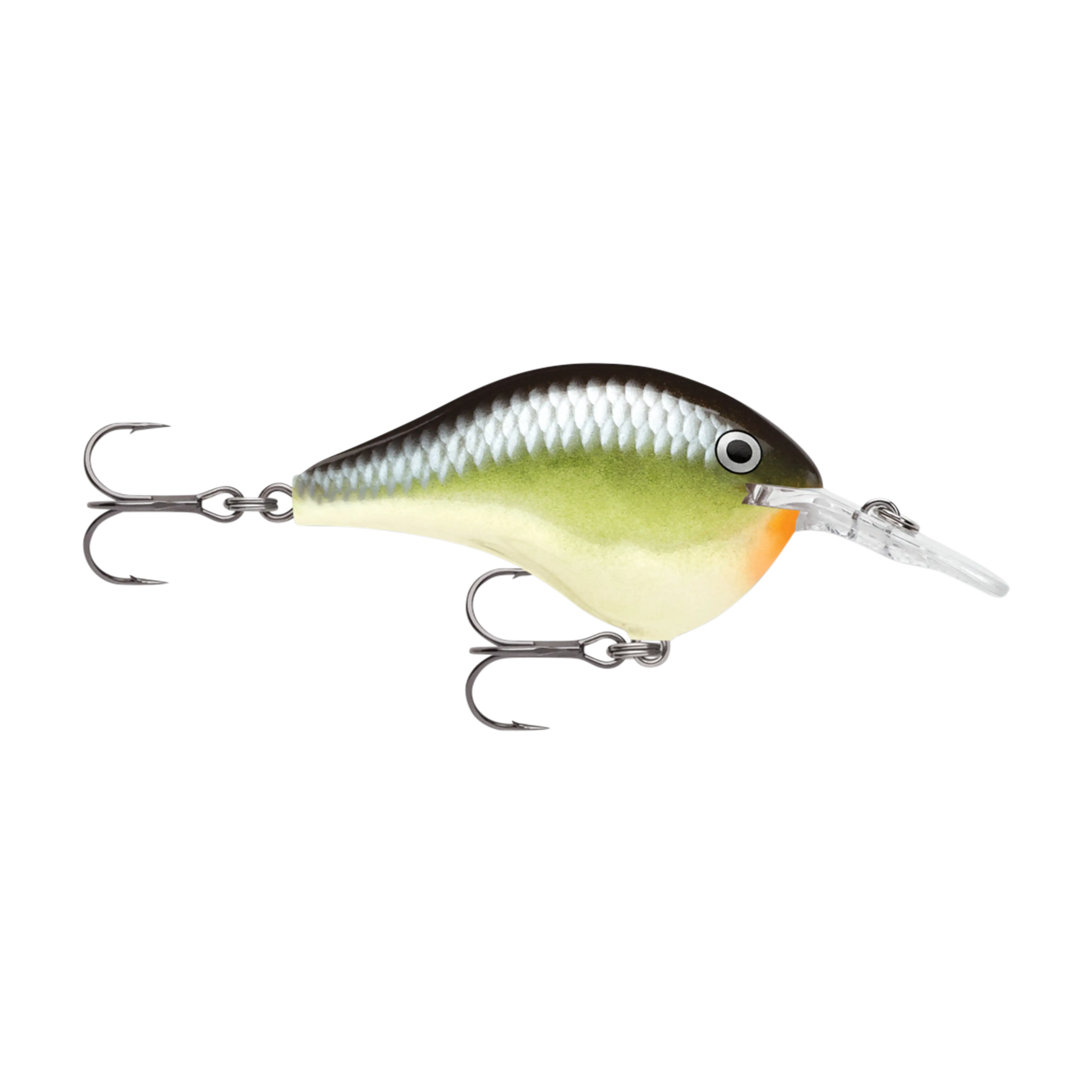 Rapala DT6 Series Crankbaits - Image 13