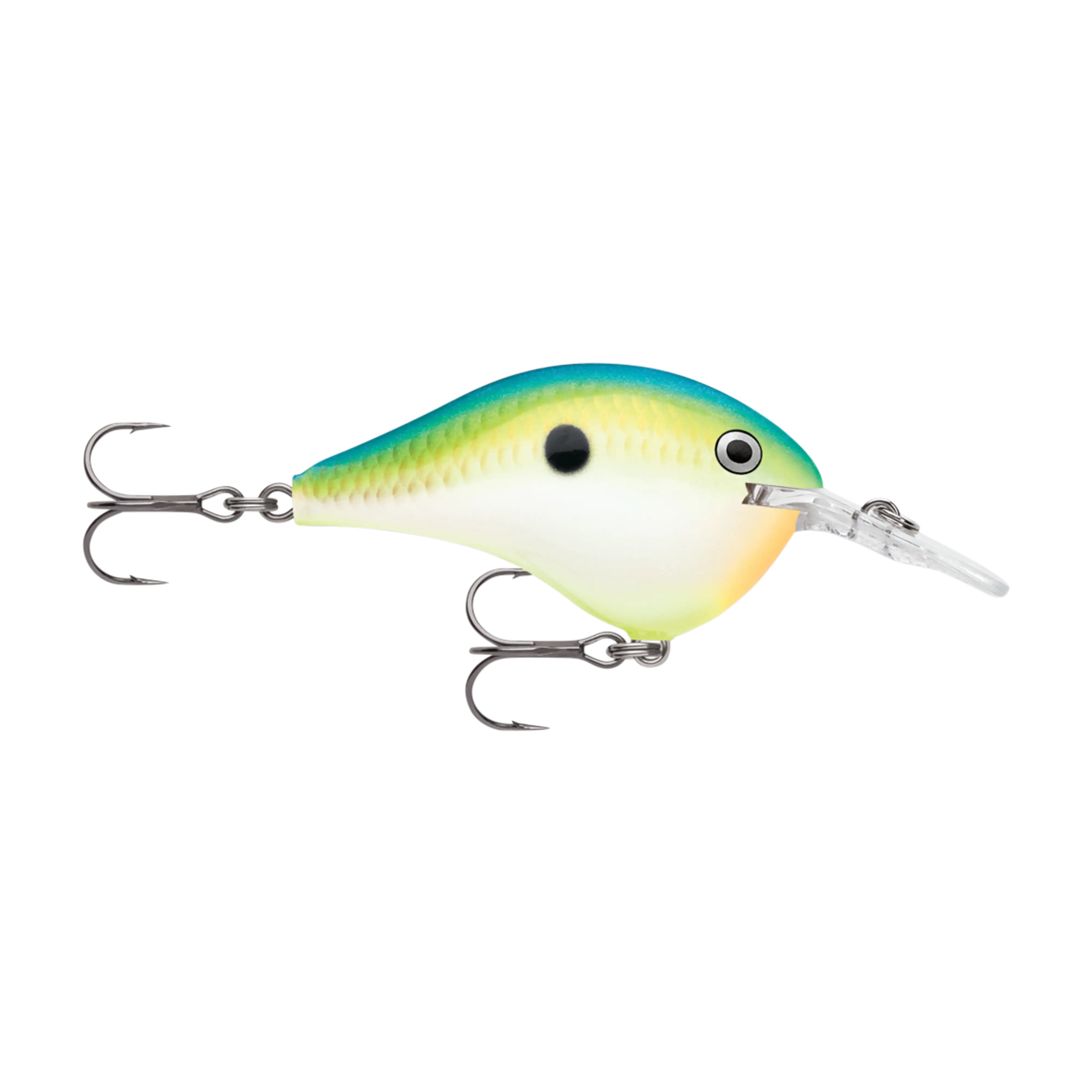 Rapala DT6 Series Crankbaits - Image 6