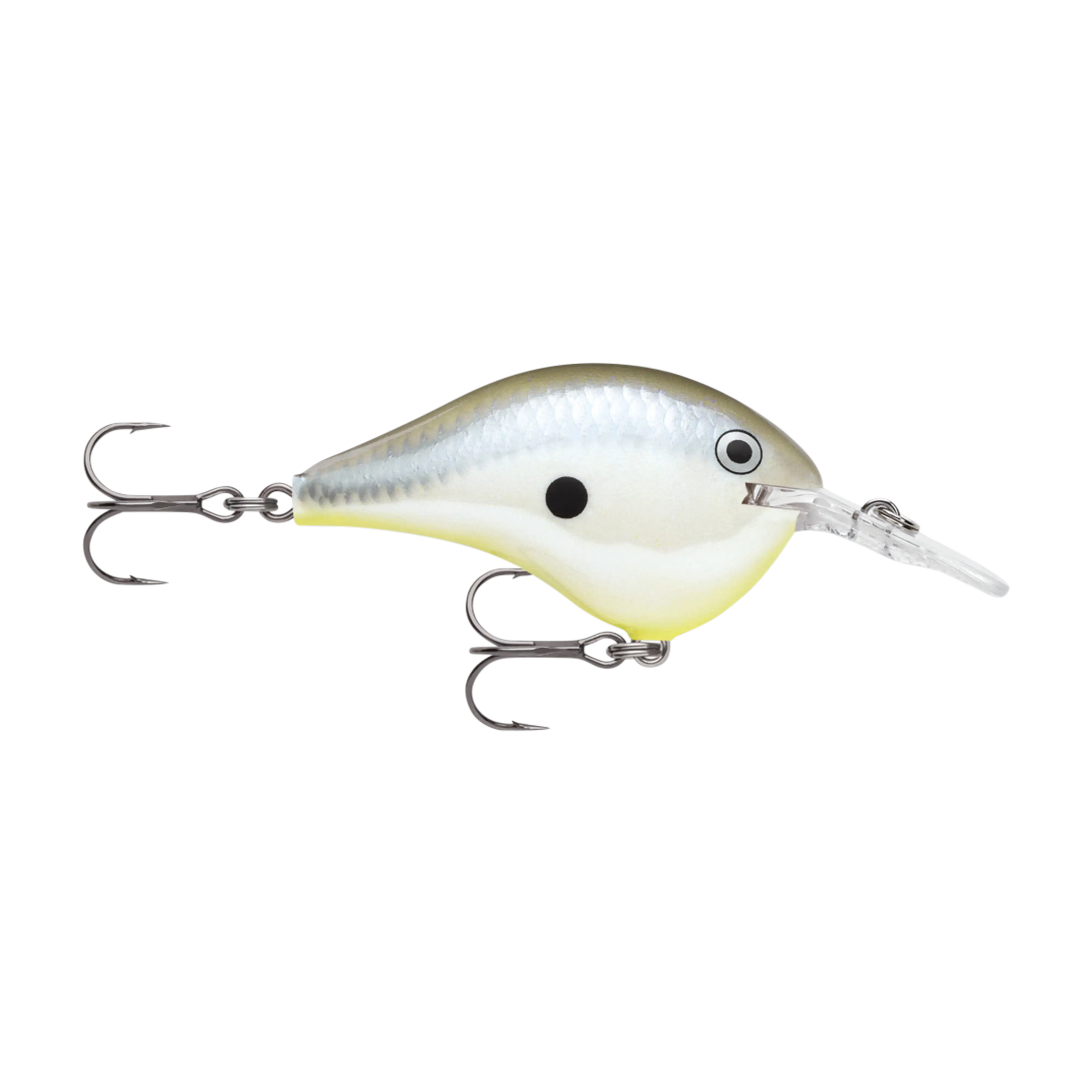 Rapala DT6 Series Crankbaits - Image 7