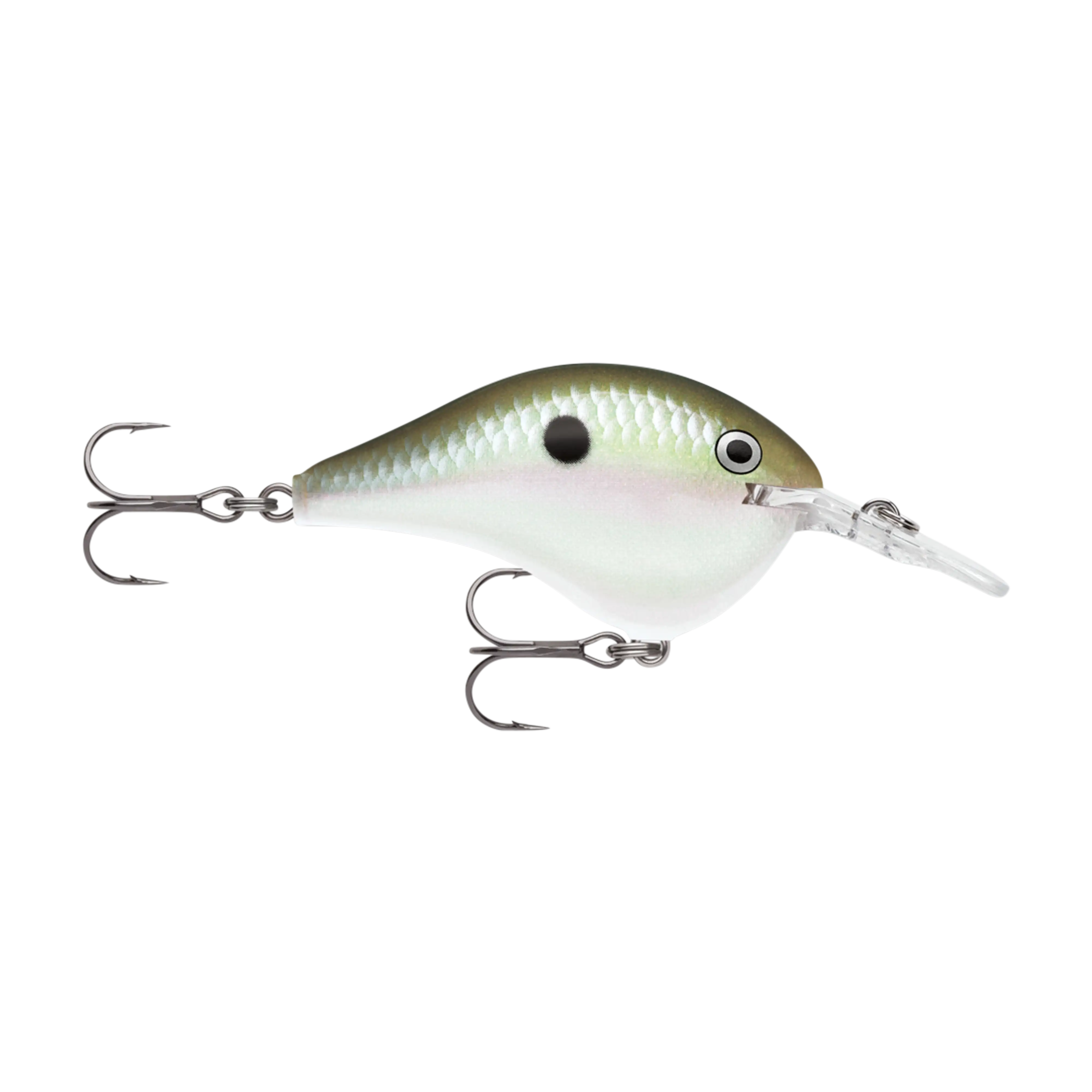 Rapala DT6 Series Crankbaits - Image 9