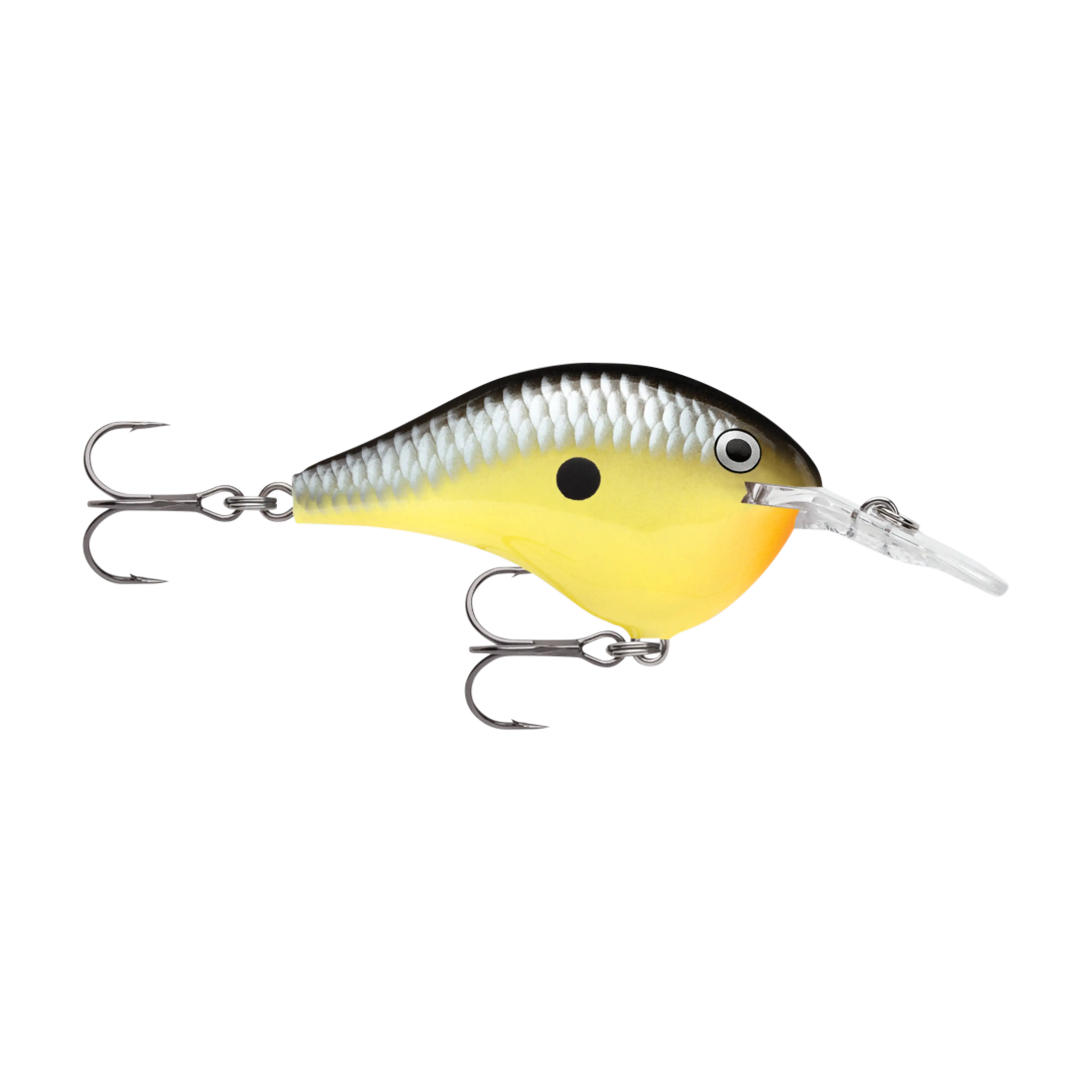 Rapala DT8 Series Crankbaits - Image 11